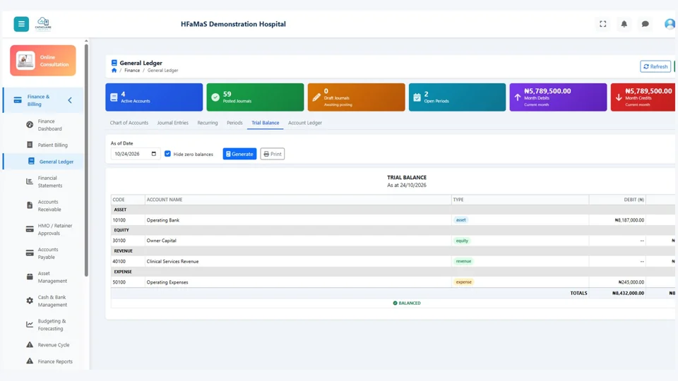 HFaMaS demonstration trial balance page