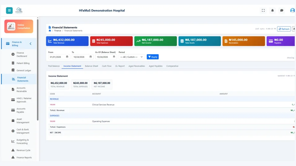 HFaMaS demonstration income statement page